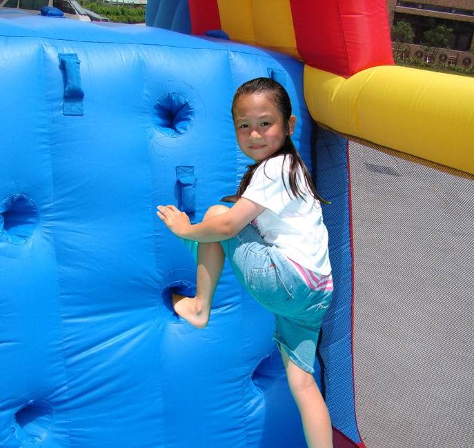 Buy Happy Hop Mega Slide Bouncy Castle | Yallatoys.com