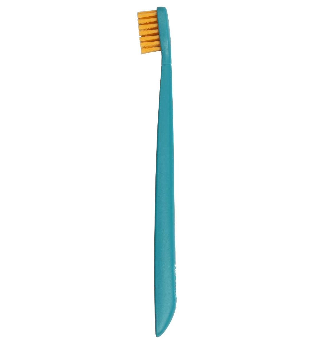 Flipper 2 Piece Twigo Toothbrush for Kids Blue and White Flipper Yallatoys