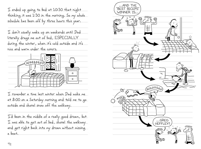 Buy Diary of a Wimpy Kid: The Third Wheel (Book 7) | Yallatoys.com