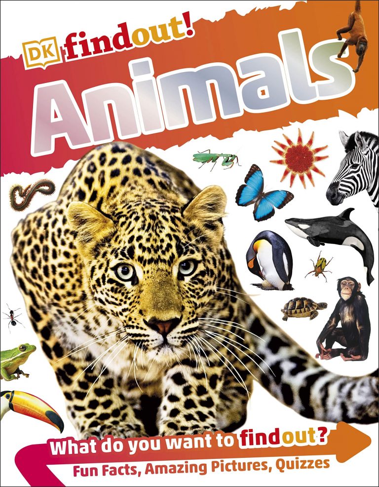 Buy Animals | Yallatoys.com