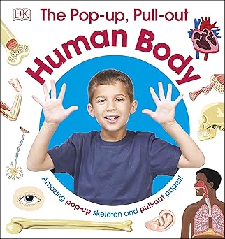 Buy The Pop-Up Pull-Out Human Body | Yallatoys.com