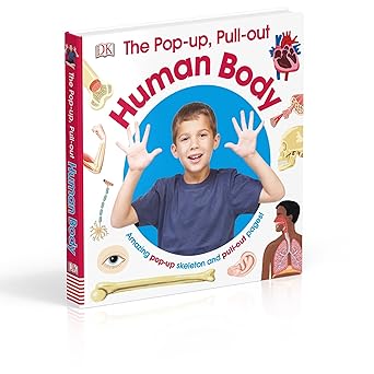 Buy The Pop-Up Pull-Out Human Body | Yallatoys.com