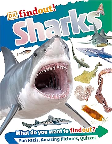 Buy Sharks | Yallatoys.com