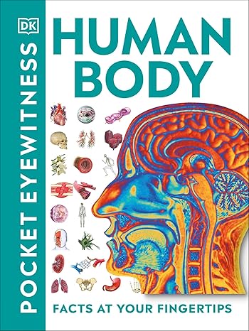 Buy Human Body Pocket Eyewitness | Yallatoys.com
