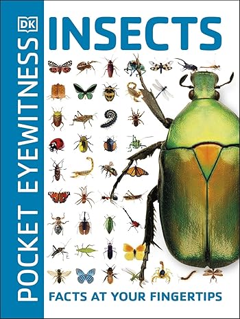 Buy Insects Pocket Eyewitness | Yallatoys.com