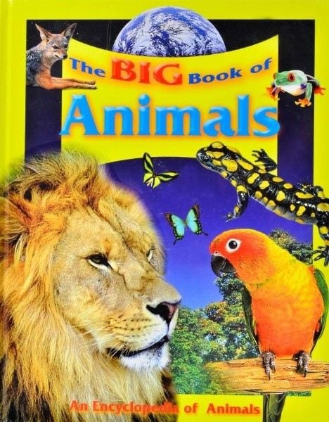 Buy My Big Book Of Animals | Yallatoys.com