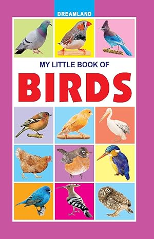 Buy My Little Book of Birds | Yallatoys.com