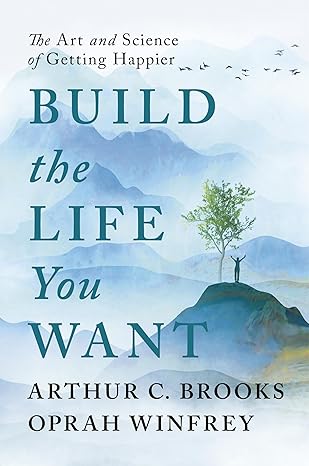 Buy Build the Life You Want | Yallatoys.com