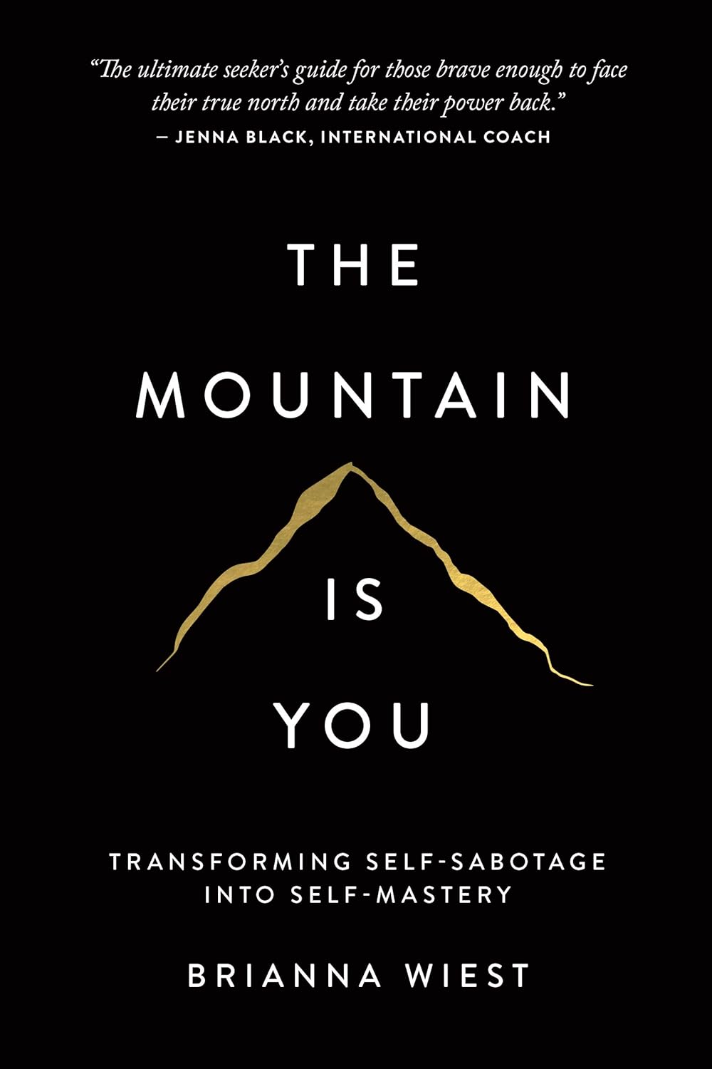 Buy The Mountain Is You: Transforming Self-Sabotage Into Self-Mastery  | Yallatoys.com