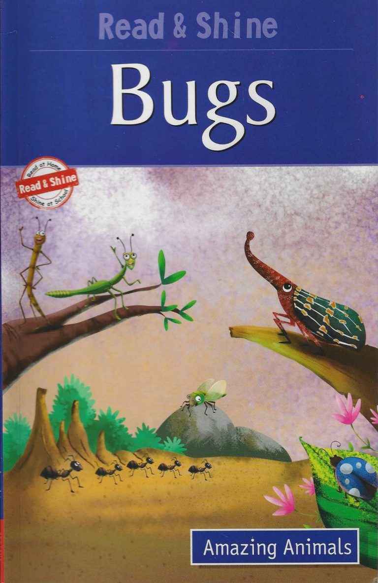Buy Read & Shine Bugs Amazing Animals | Yallatoys.com