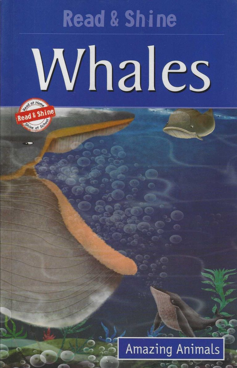 Buy Read & Shine Whales Amazing Animals | Yallatoys.com