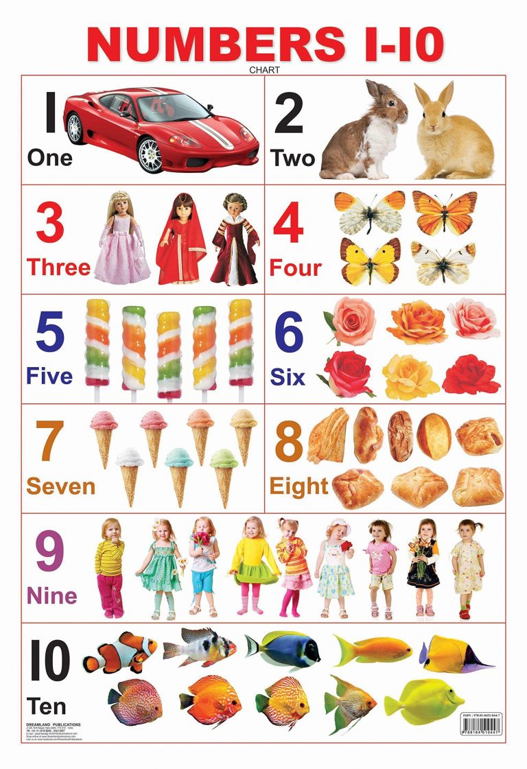 Buy Educational Chart Numbers 1 - 10 | Yallatoys.com
