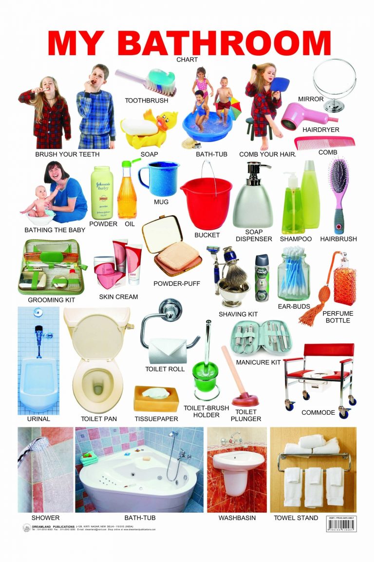 Buy Educational Chart My Bathroom | Yallatoys.com