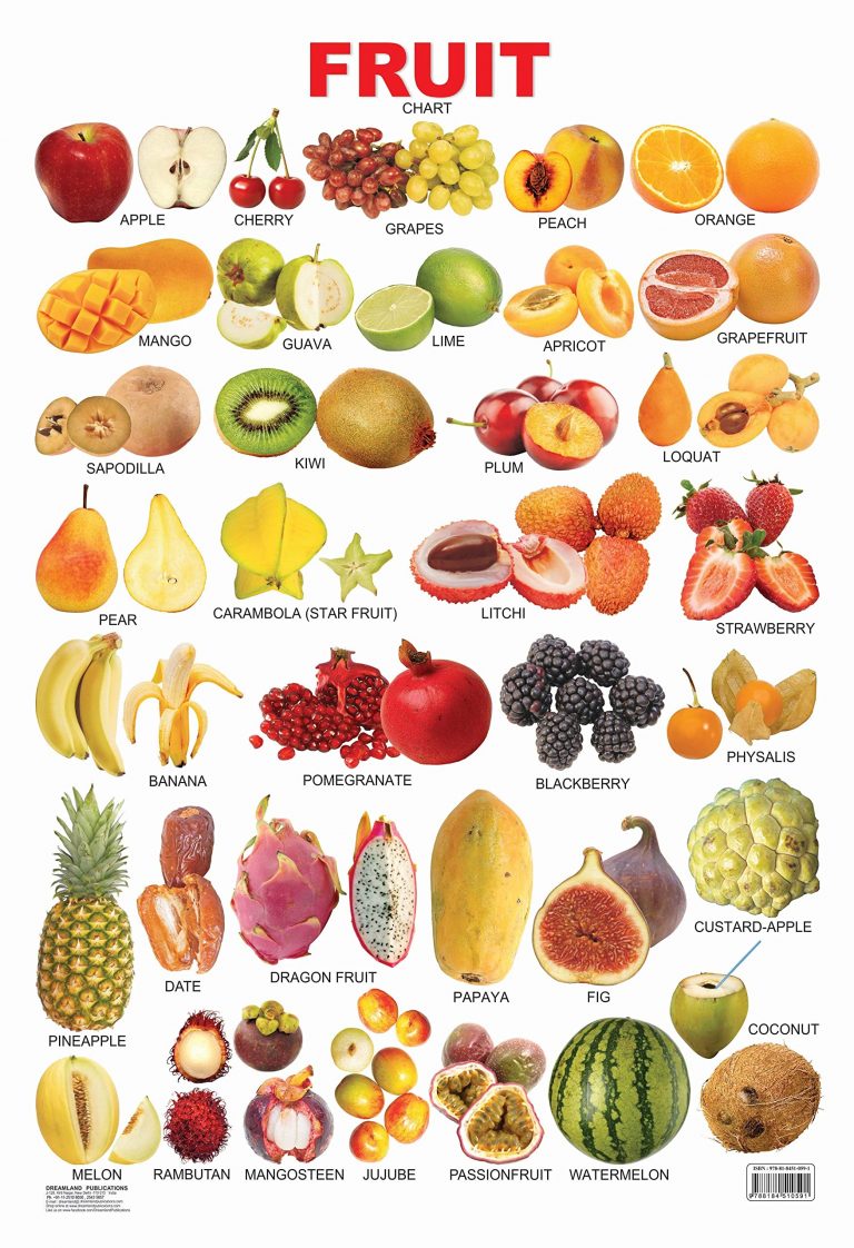 Buy Educational Chart Fruits | Yallatoys.com