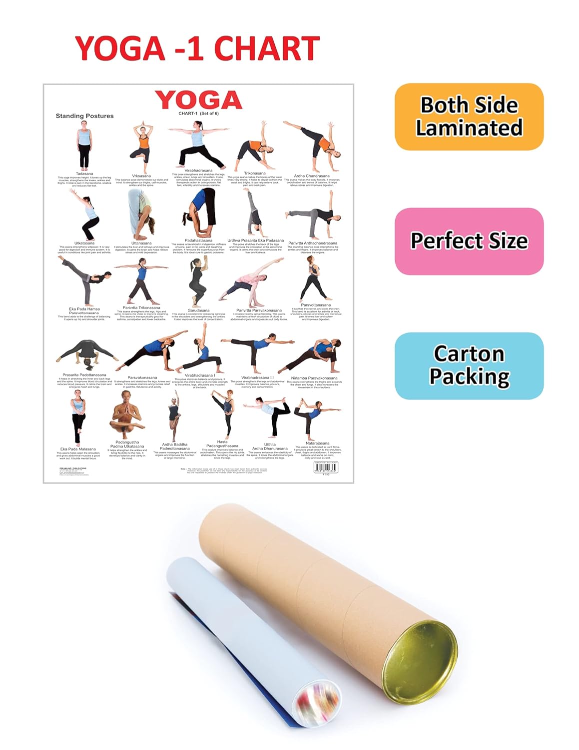 Buy Educational Chart Yoga | Yallatoys.com
