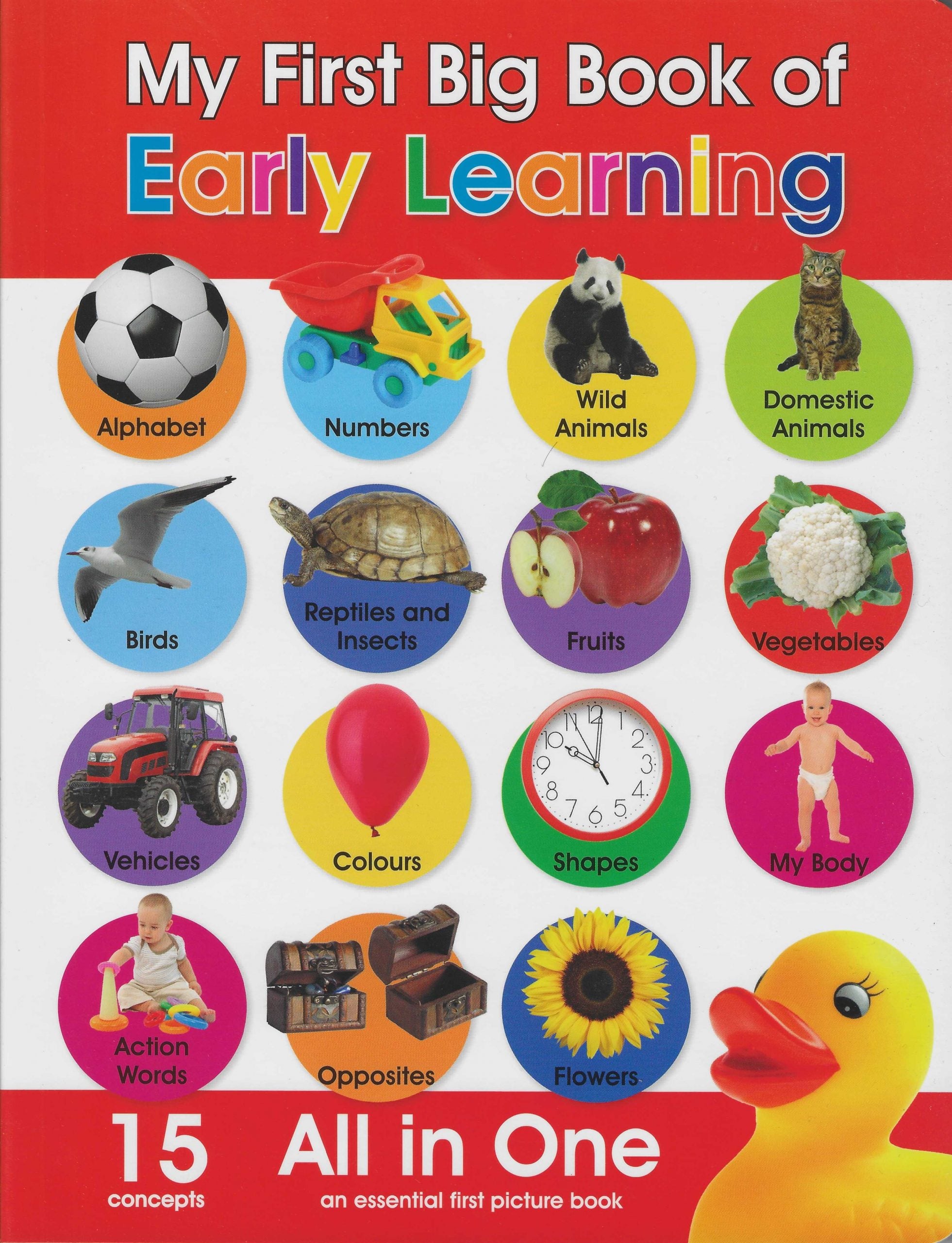 Buy My First Big Book Of Early Learning | Yallatoys.com