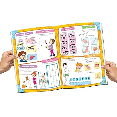 Buy Science Activity Book | Yallatoys.com