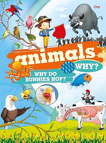 Buy Animals Why? | Yallatoys.com