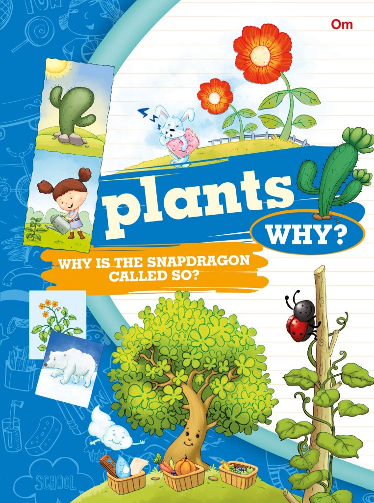 Buy Planets Why? | Yallatoys.com