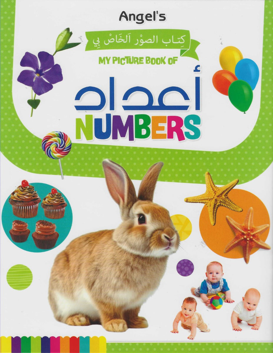 Buy My Picture Book Of Numbers | Yallatoys.com