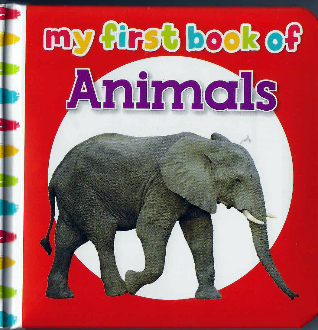Buy My First Book Of Animals | Yallatoys.com