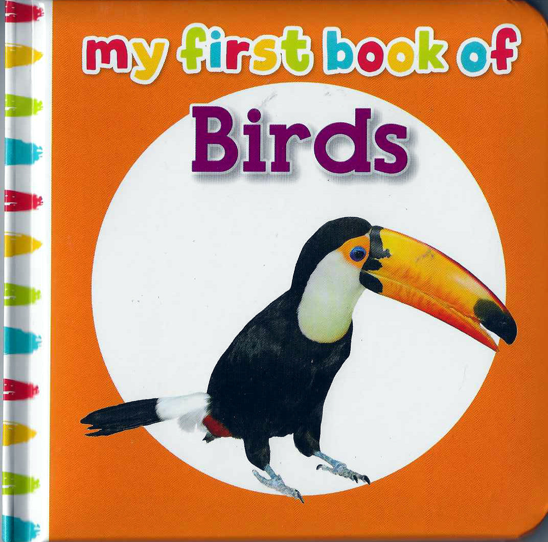 Buy My First Book Of Birds | Yallatoys.com