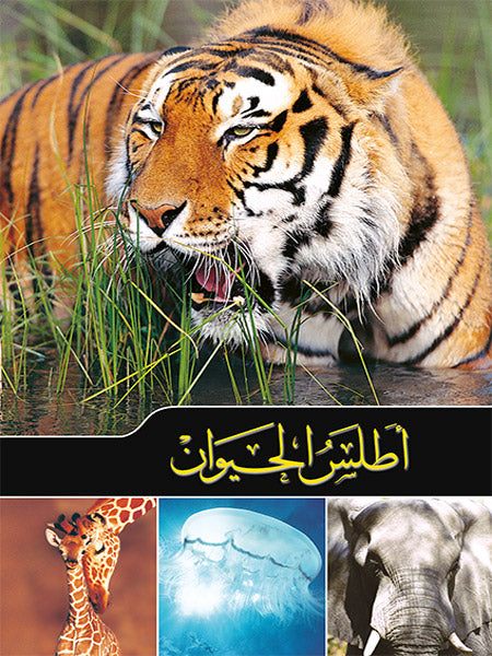 Buy أطلس الحيوان | Yallatoys.com