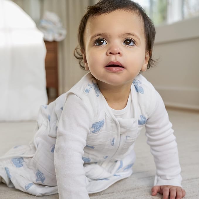 Aden + Anais Light Sleeping Bag Animal Kingdom 6 to 18 months aden + anais Yallatoys