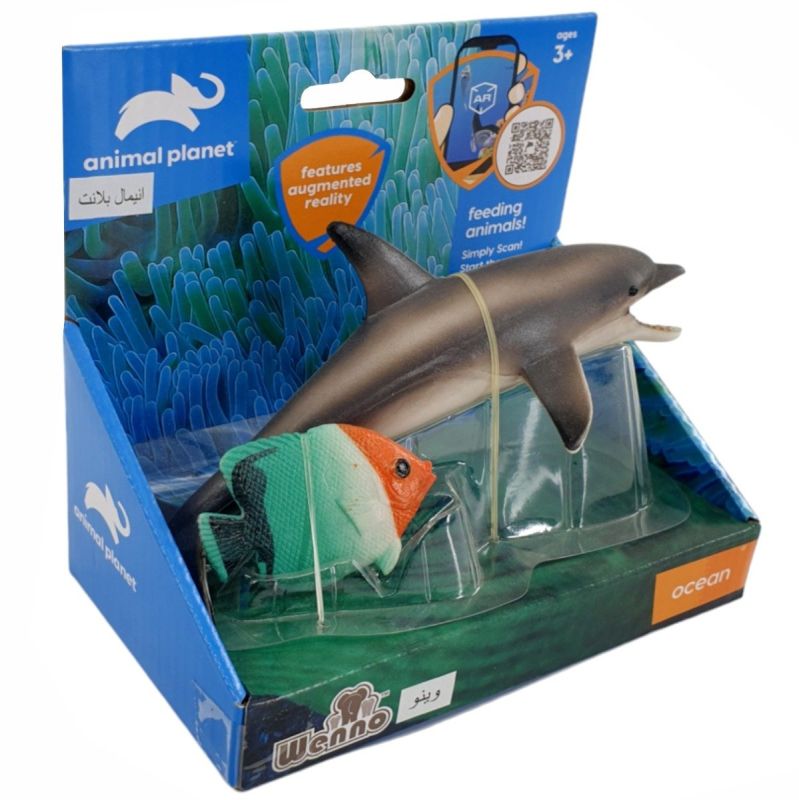 Animal Planet Dolphin Fish Box