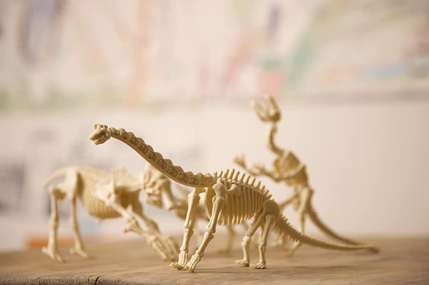 Brachiosaurus Fossil Dig Science Kit