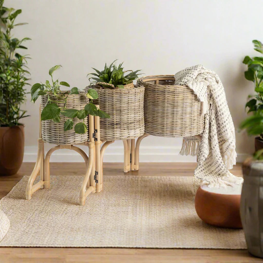 Cuddle Rowan Folding Planter Cuddle Yallatoys