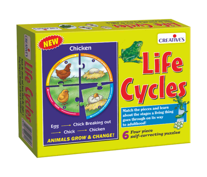 Creatives Life Cycles Educational Game