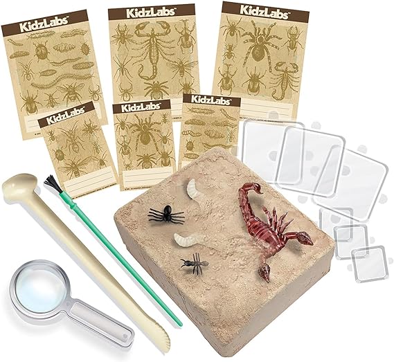 Creepy Crawly Bug Dig Science Kit