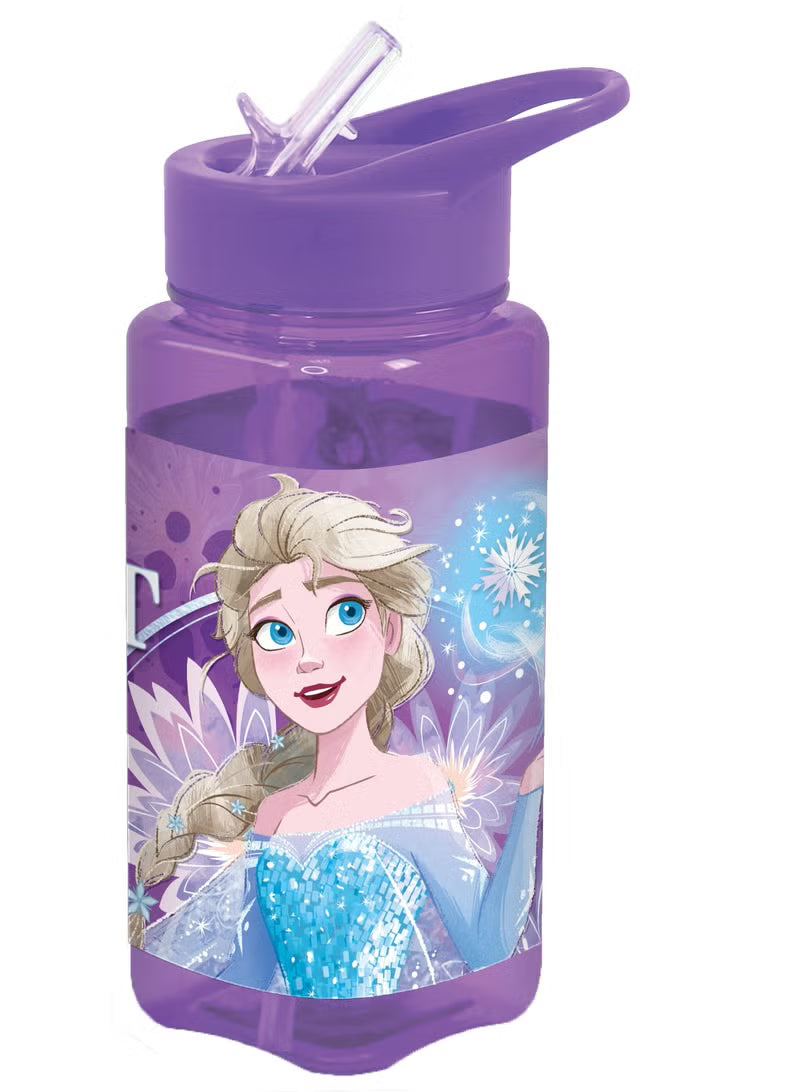 Disney Frozen Square Water Bottle