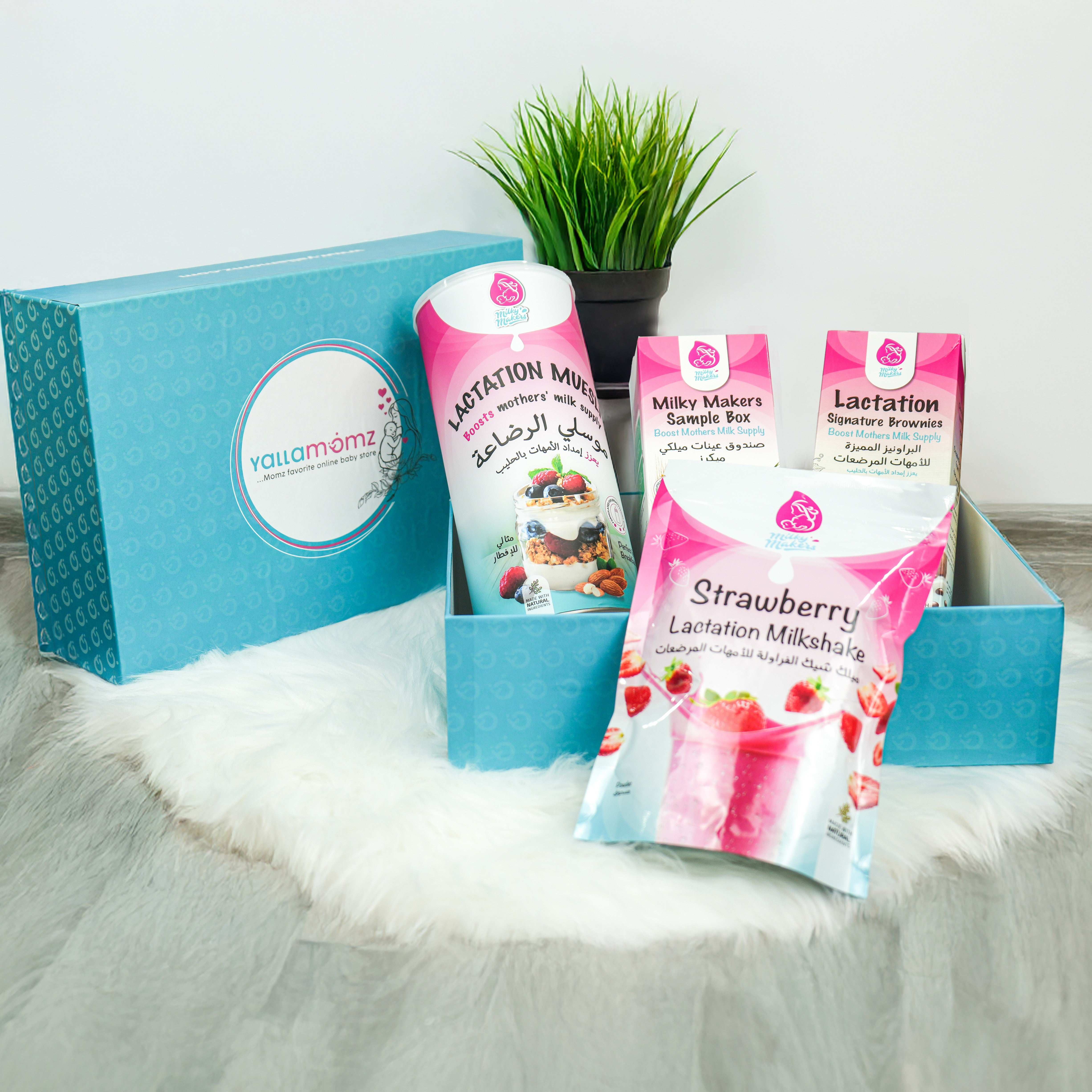 Mom Lactation Gift Set
