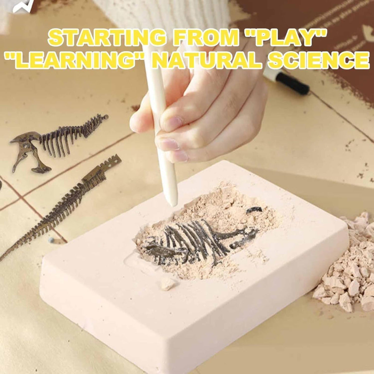 Dinosaur Excavation Kit