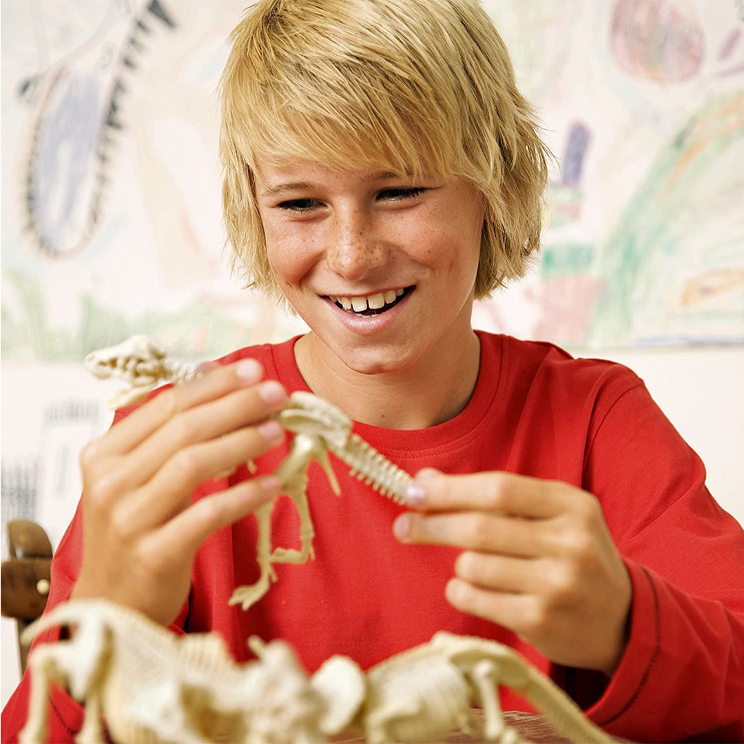 Dinosaur Skeleton Excavation Toy Kit