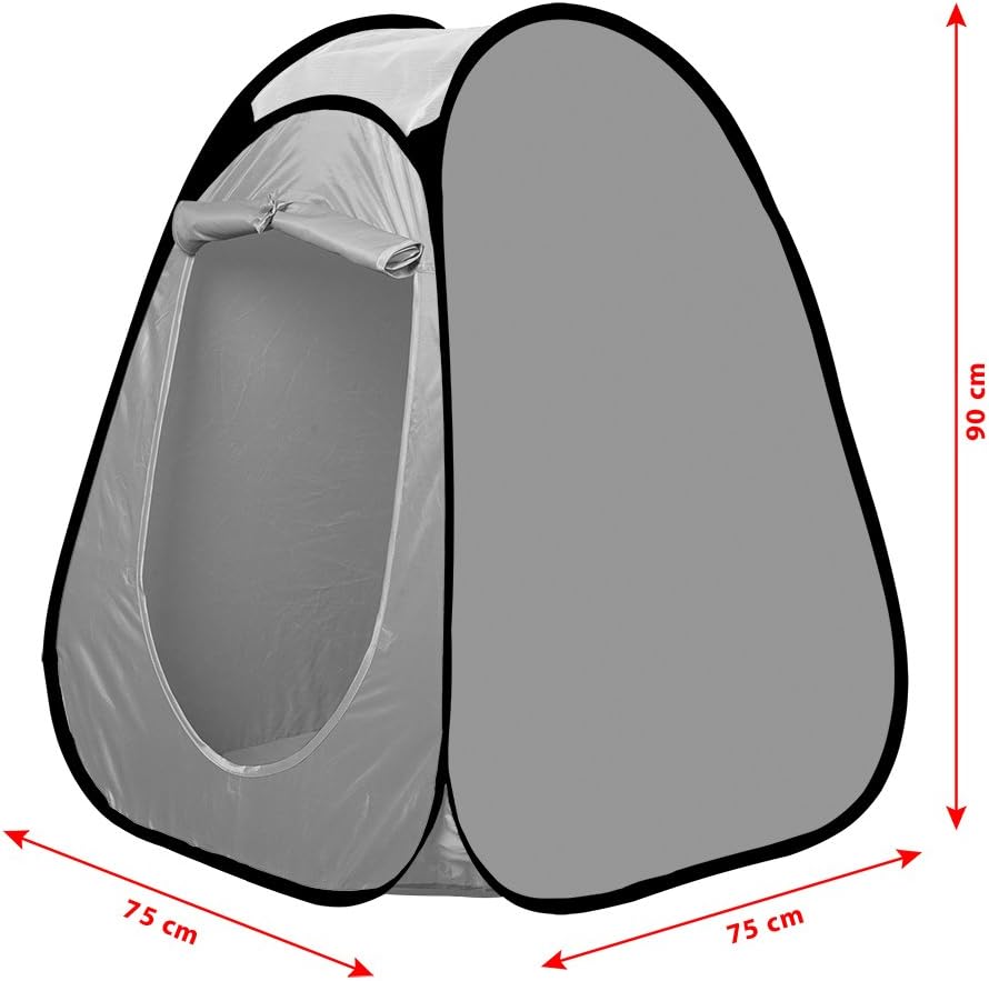 Disney Pixar Cars Character Play Tent