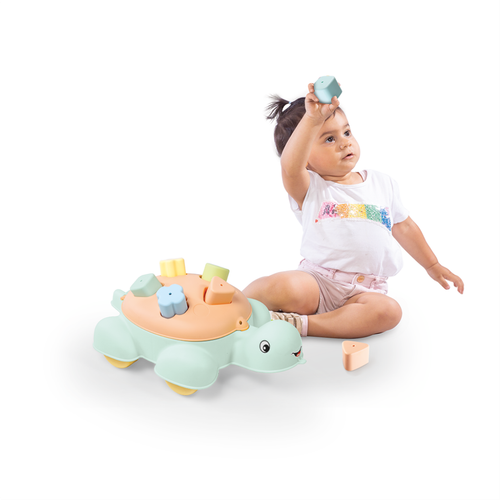 Dolu Shape Sorter Turtle Display View