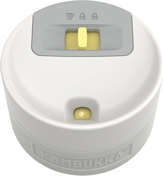 Double Wall Vacuum Tumbler
