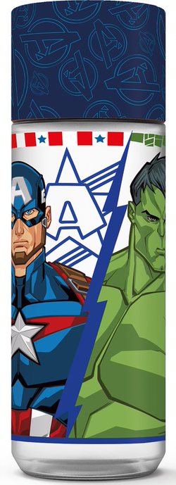 Ecozen Bottle Avengers Invincible Force