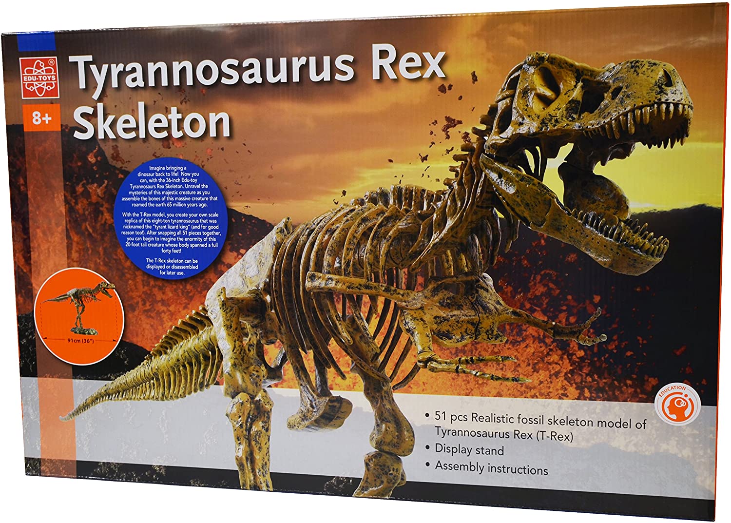 Edu Toys T-Rex Skeleton Packaging