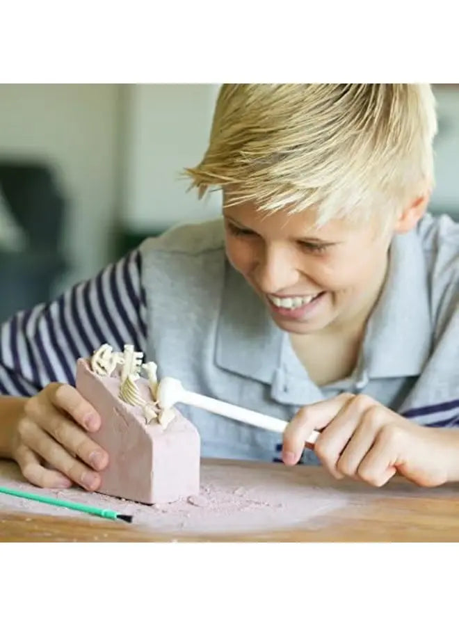 4M KidzLabs Stegosaurus Skeleton Excavation Kit 4M Yallatoys