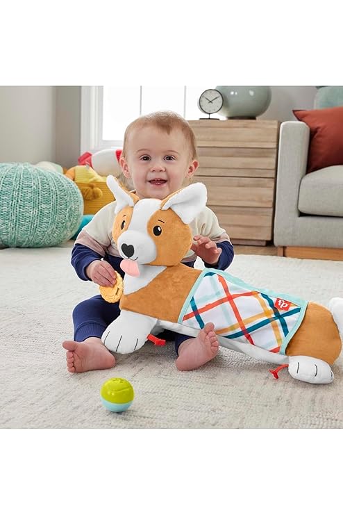 Fisher-Price Tummy Time Puppy Layout