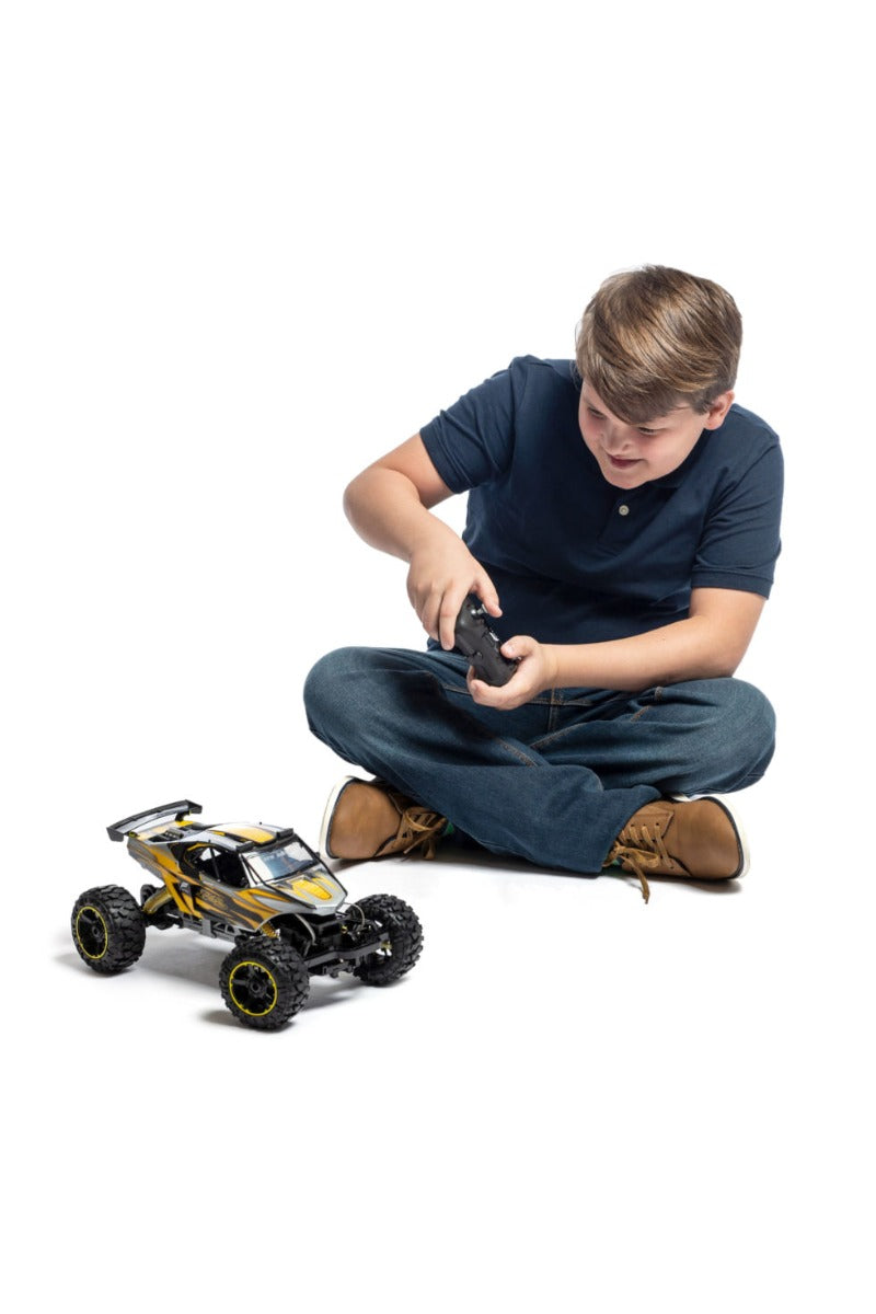 Forza racing buggy
