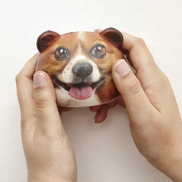 Interactive Dog Squeeze Toy Layout
