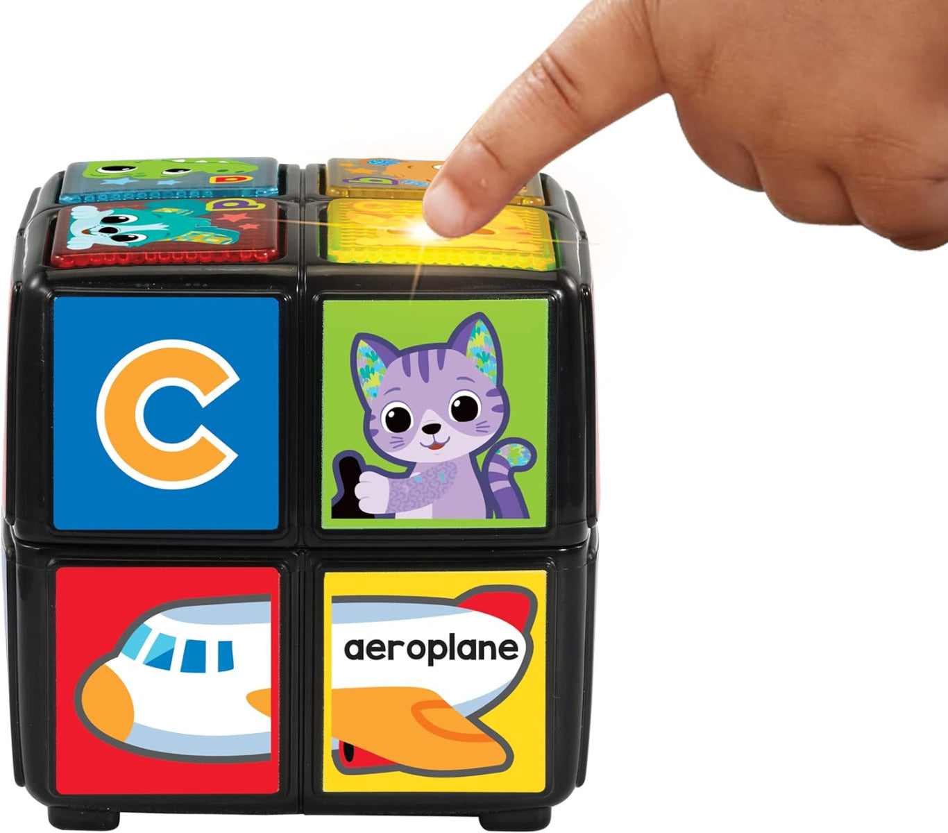 Interactive Multi-Sided Animal Activity Cube Front View