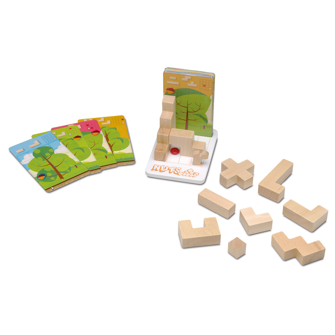 Interactive Nuts Logic Board Game
