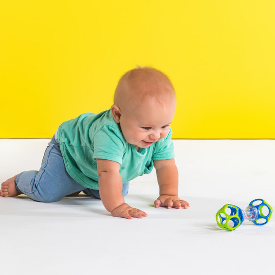 Interactive Oball Shaker Rattle Toy Layout