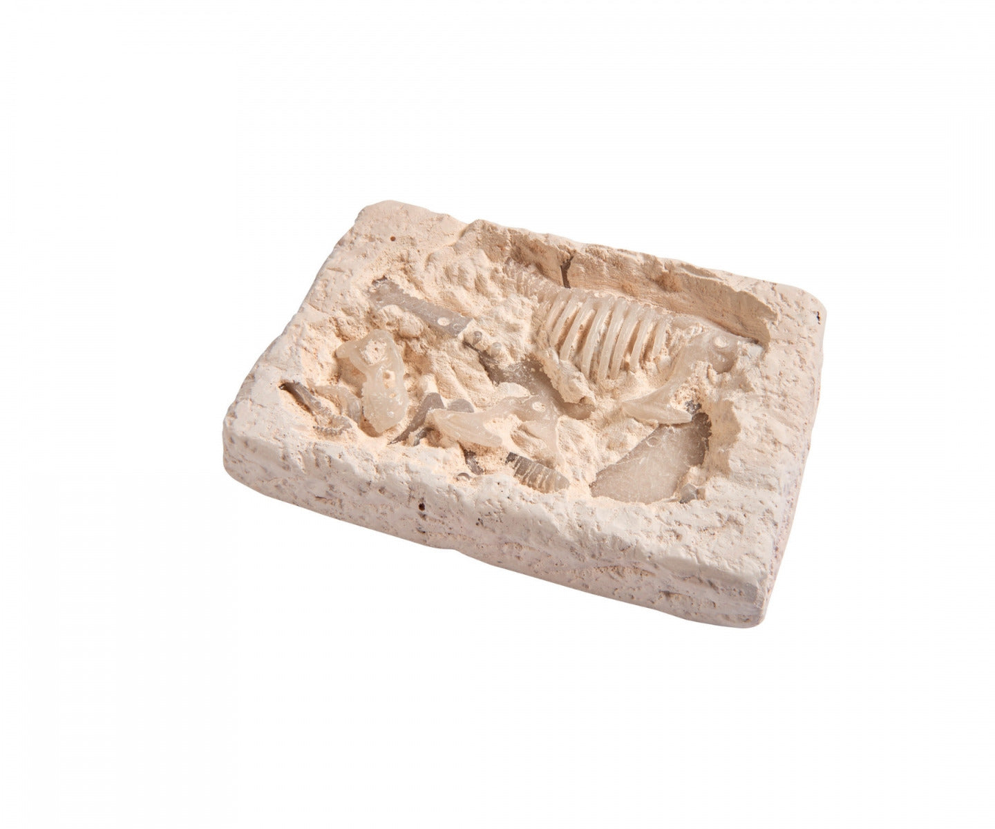 Interactive Simba T-Rex Skeleton Dig & Build Set